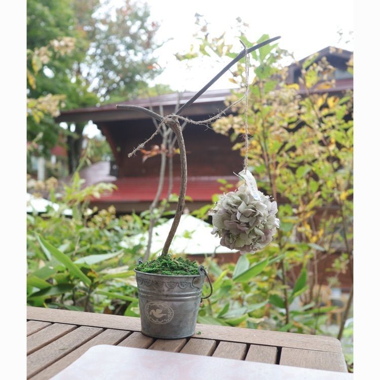 あっけさんが投稿した蔵王ペンション　木いちごに関する口コミの画像