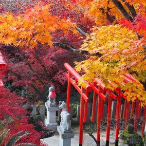 岩津天満宮 6枚目