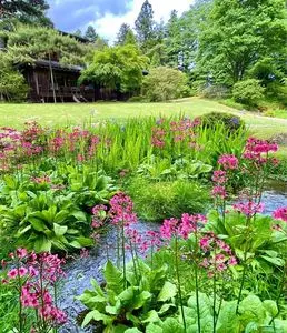 日光田母沢御用邸記念公園