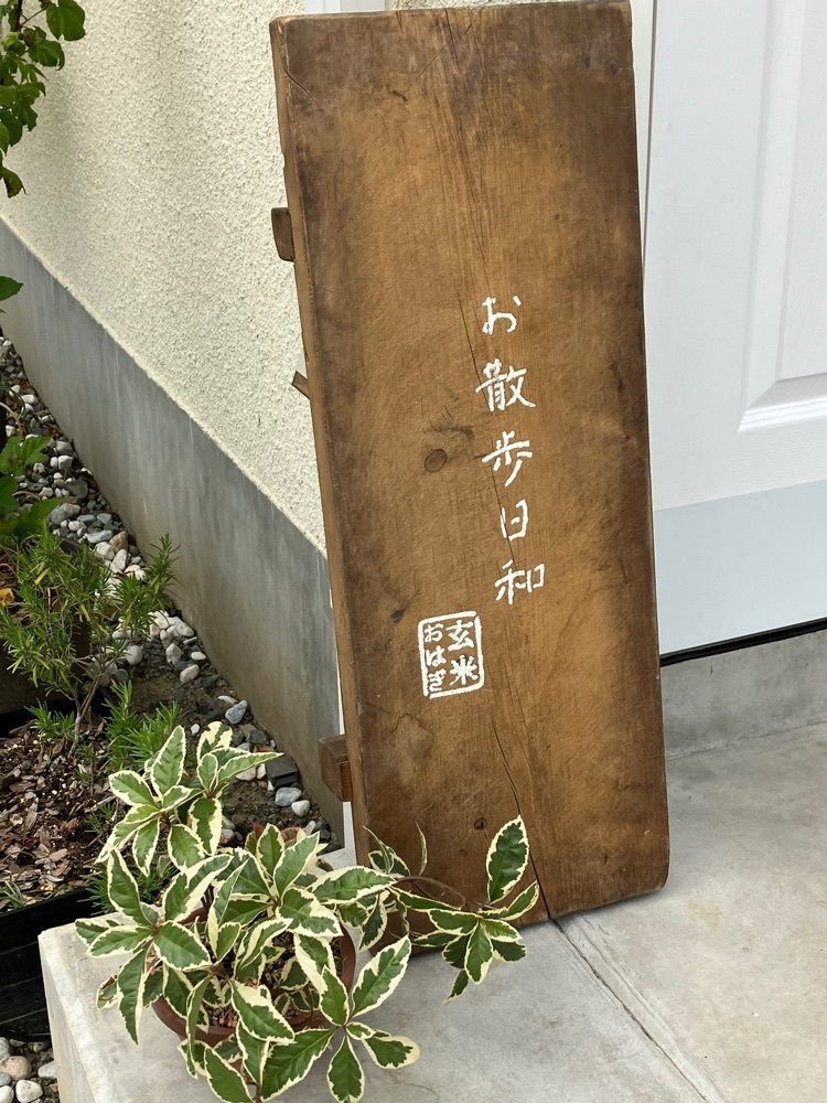 Nさんが投稿したお散歩日和に関する口コミの画像