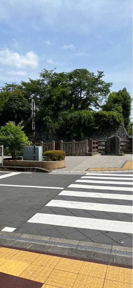 海老桃和久津さんが投稿した碧に関する口コミの画像
