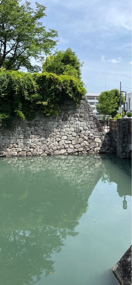 海老桃和久津さんが投稿した碧に関する口コミの画像