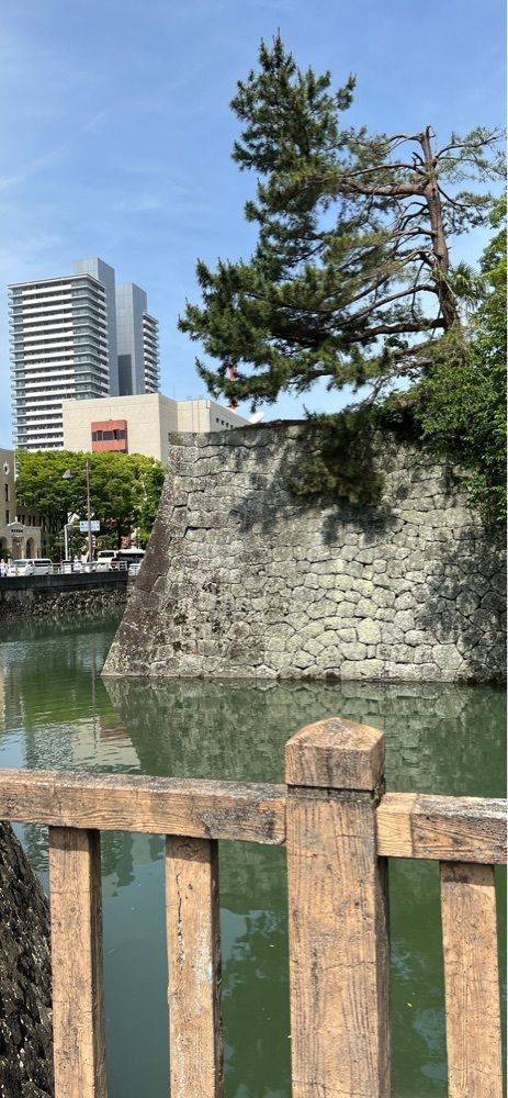 海老桃和久津さんが投稿した碧に関する口コミの画像
