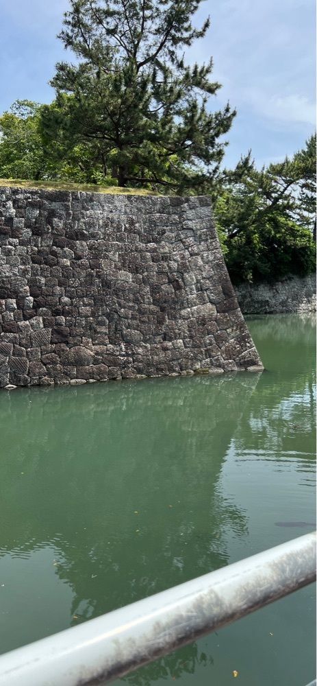 海老桃和久津さんが投稿した碧に関する口コミの画像