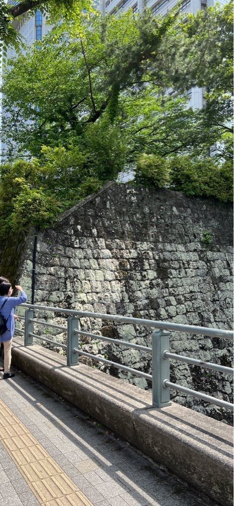 海老桃和久津さんが投稿した碧に関する口コミの画像