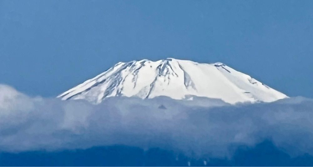 ビンカさんが投稿したラ・レイエス湘南（【旧店名】いこいの村あしがら）に関する口コミの画像