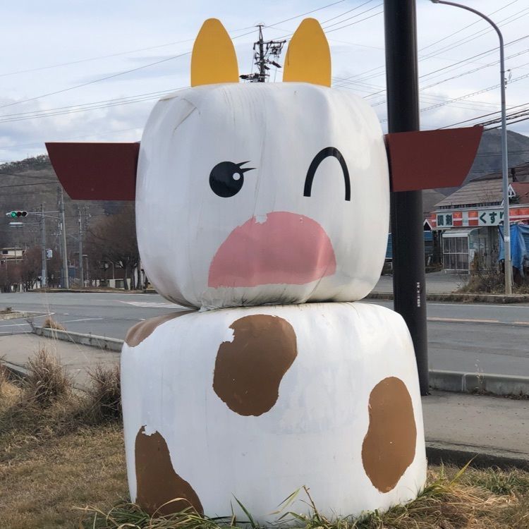 jun1216さんが投稿した南牧村に関する口コミの画像