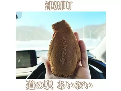 道の駅あいおい
