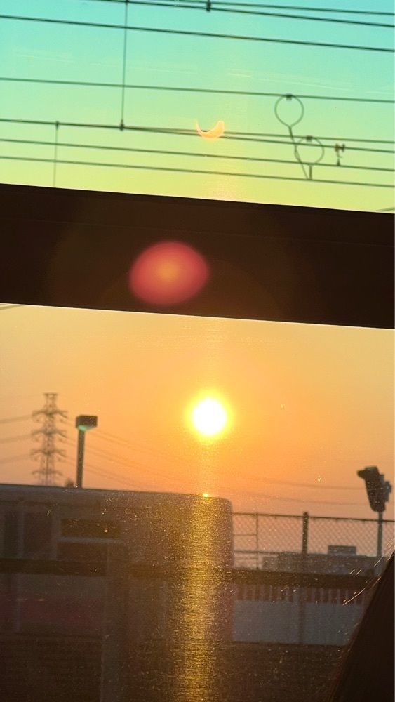 miiさんが投稿した炭火焼鳥 塚田農場 大宮東口店に関する口コミの画像