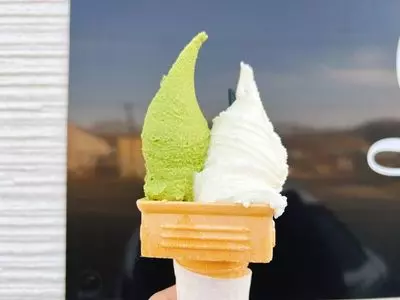 ピカブー（Peekaboo） 2枚目