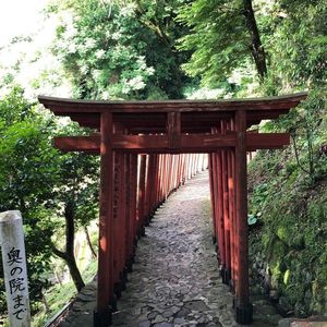 祐徳稲荷神社