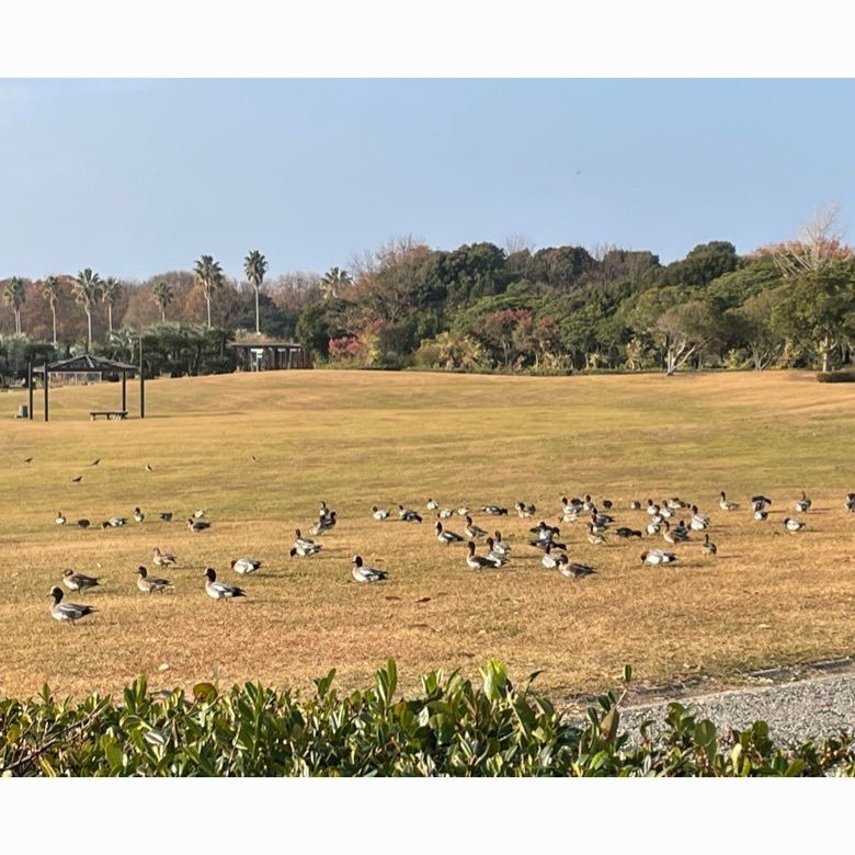 みーなさんが投稿した赤穂市立海洋科学館に関する口コミの画像