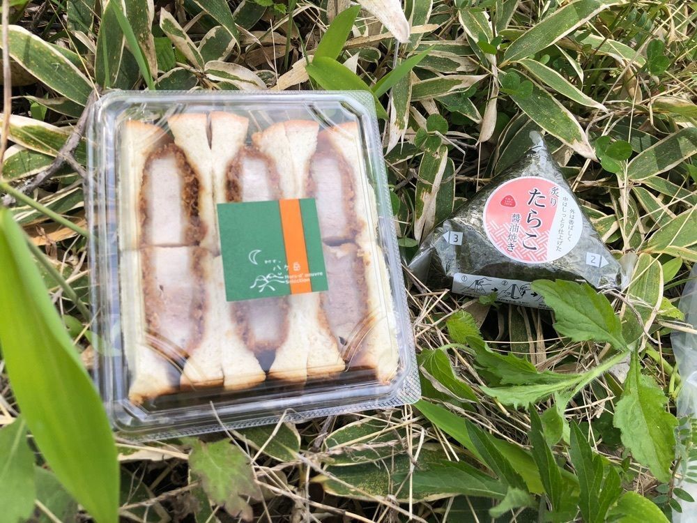 それなはとけさんが投稿した八ヶ岳中央高原のレンゲツツジに関する口コミの画像