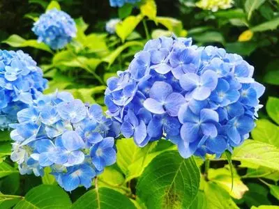 糸田町地域振興課