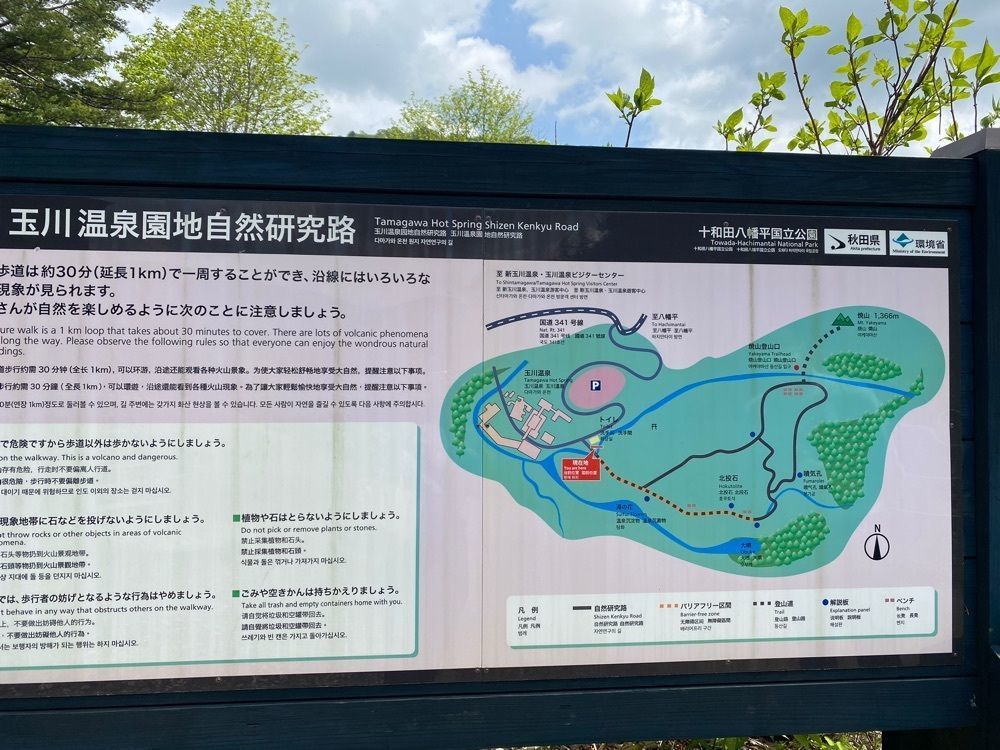 Musashiさんが投稿した玉川温泉に関する口コミの画像