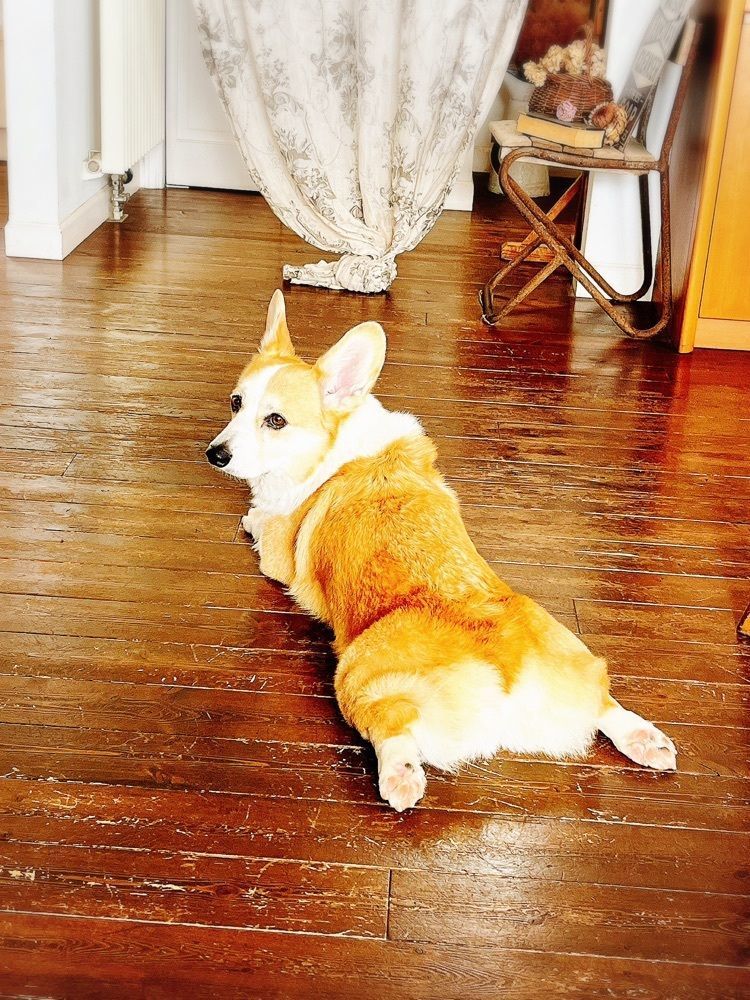 猫なぎ。さんが投稿したアニーズ（ANNIE'S）に関する口コミの画像