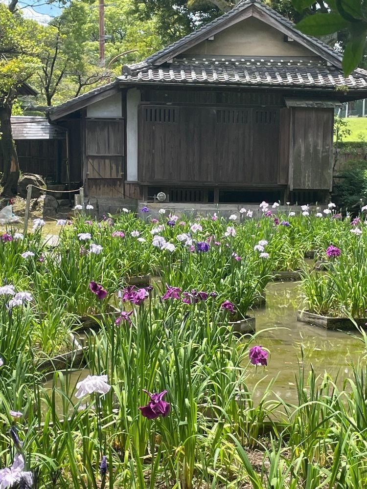 luckyさんが投稿した松浜軒庭園に関する口コミの画像