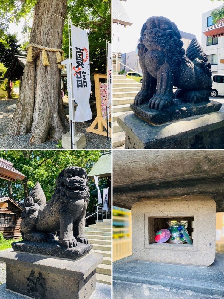 nico☺︎さんが投稿した札幌諏訪神社に関する口コミの画像