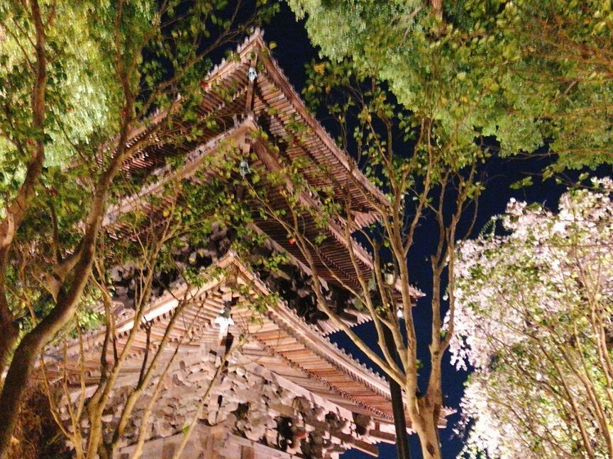 chiiiiさんが投稿したザ・ビストロ（【旧店名】シーズンズ･ビストロ）に関する口コミの画像