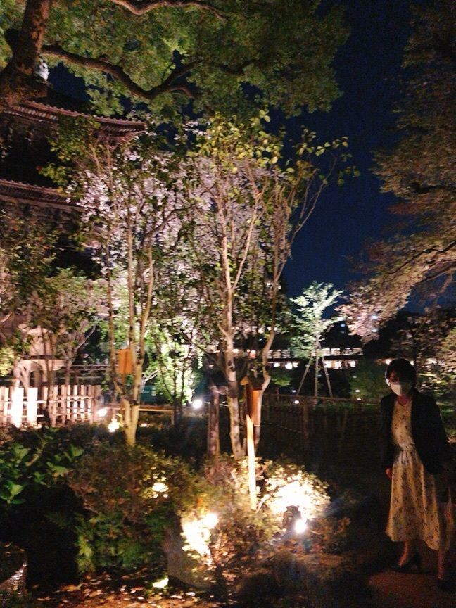 chiiiiさんが投稿したザ・ビストロ（【旧店名】シーズンズ･ビストロ）に関する口コミの画像