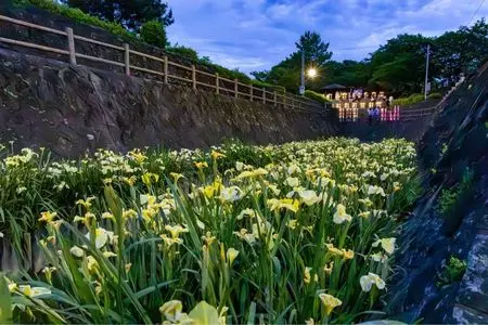 高瀬裏川