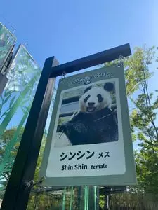 上野動物園 カフェカメレオン（不忍池テラス売店）
