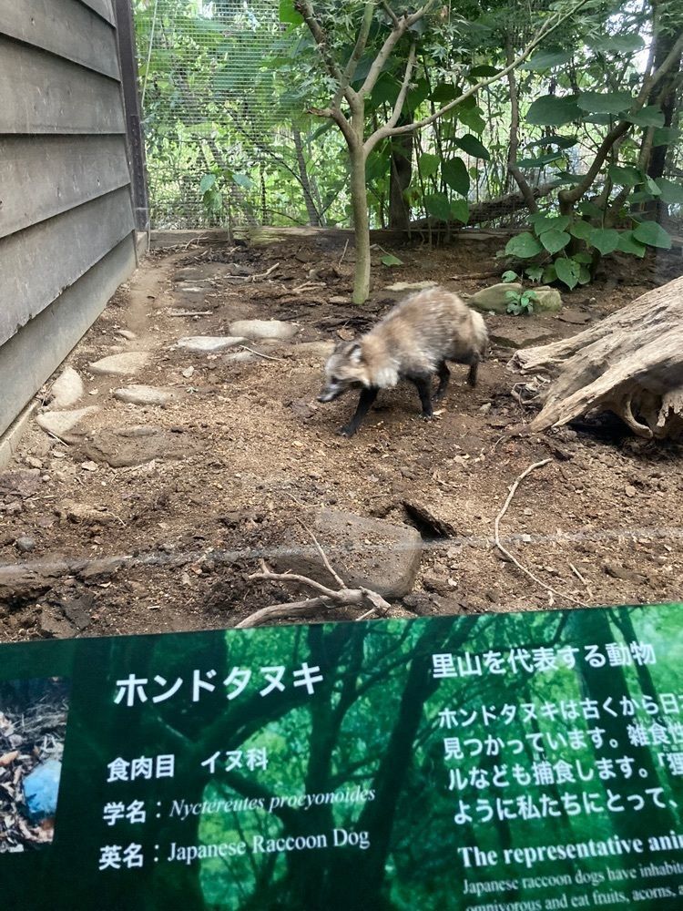 saa1010さんが投稿したアクアマリンふくしま（aquamarine Fukushima）に関する口コミの画像