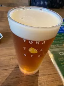 漆參