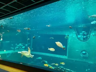 箱根園水族館