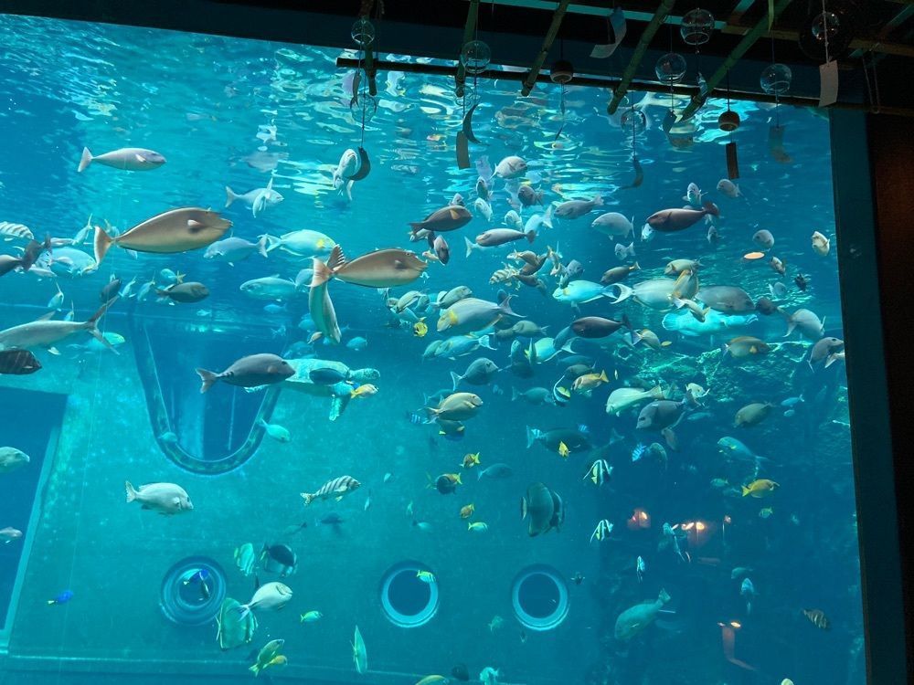 t_sugiuraさんが投稿した箱根園水族館に関する口コミの画像