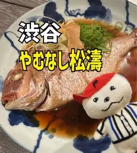 やむなし松濤