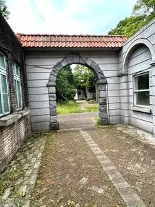 相模原公園内 緑の街