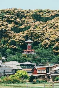 薬王寺　瑜祇塔　