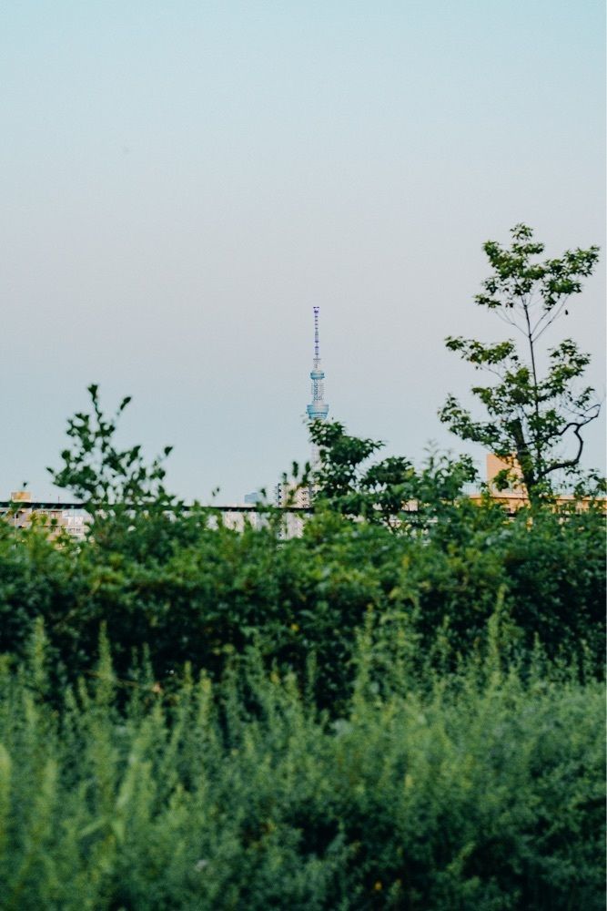 きゃっさーさんが投稿した荒川自然公園に関する口コミの画像