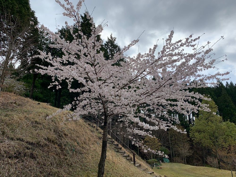 たくみん☆さんが投稿した東山オートキャンプ場に関する口コミの画像