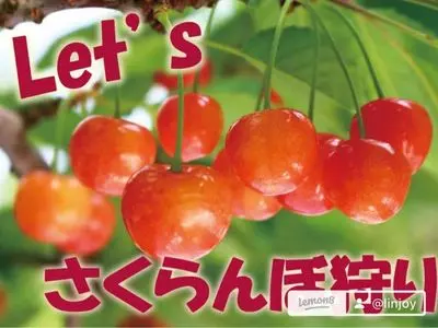駒ヶ根高原一帯
