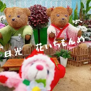 日光　花いちもんめ