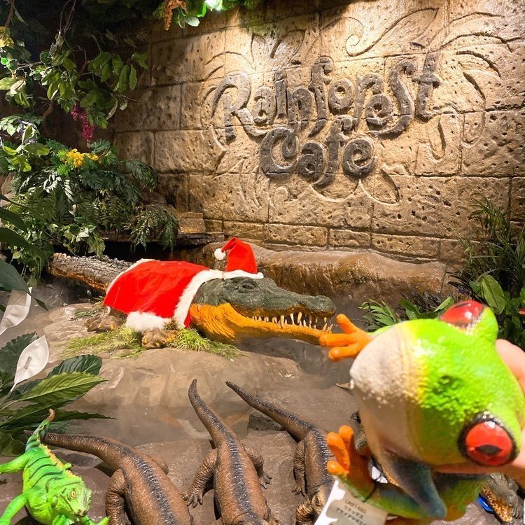 YYY🌈TOKYOさんが投稿したレインフォレストカフェ・トーキョー（Rainforest cafe）に関する口コミの画像