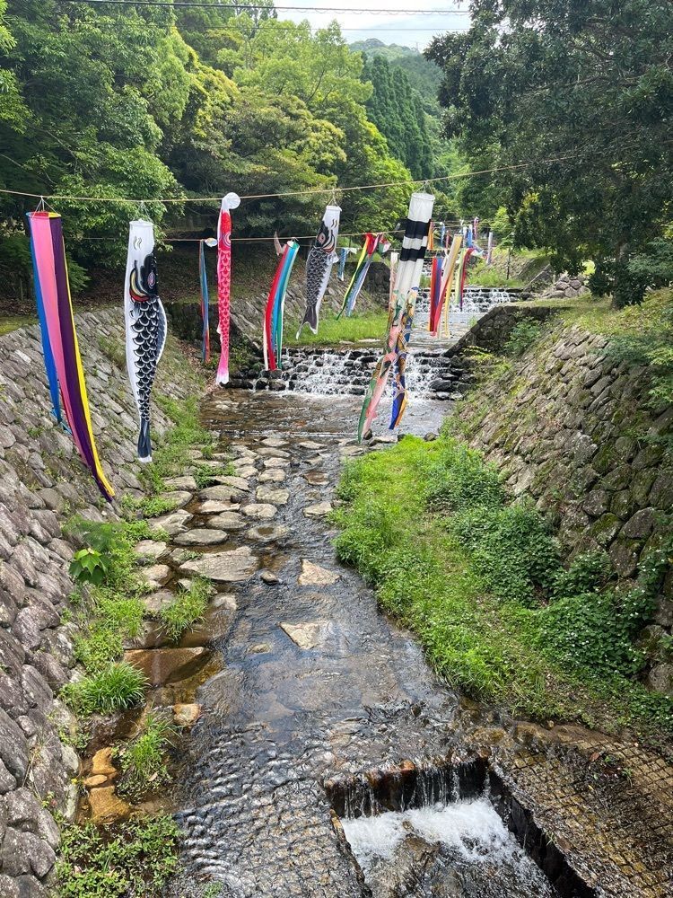 ヤベっちさんが投稿した今宿野外活動センターキャンプ場に関する口コミの画像