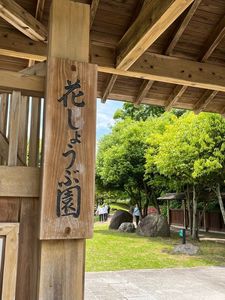 山田池公園 8枚目