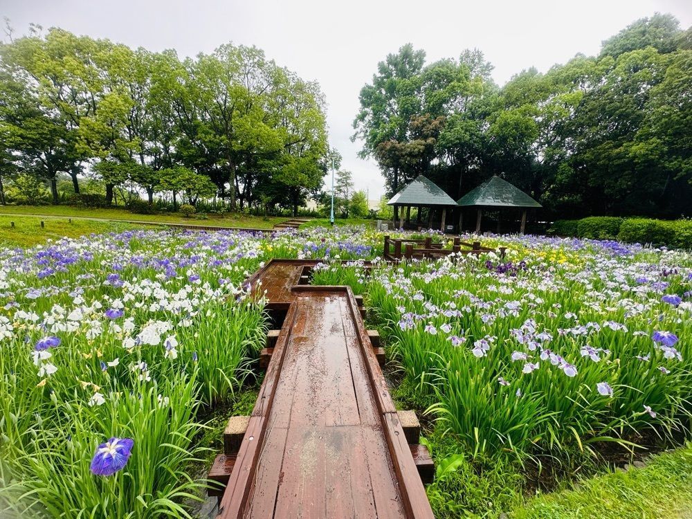 surumeさんが投稿した春日公園売店に関する口コミの画像