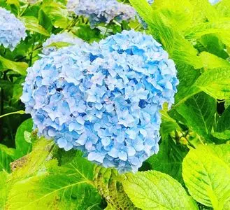 天拝山歴史自然公園