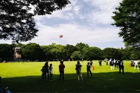 相模原公園内 緑の街