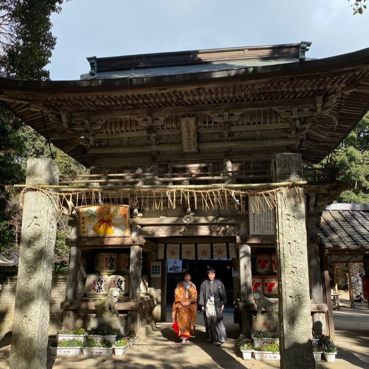 surumeの画像