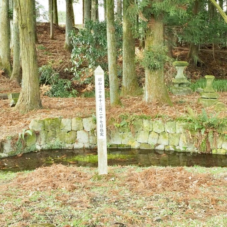 Shoさんが投稿した白河市に関する口コミの画像