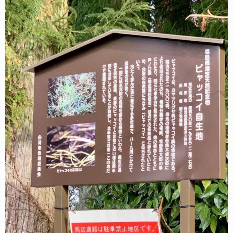 Shoさんが投稿した白河市に関する口コミの画像
