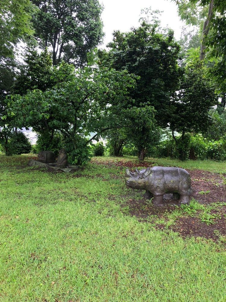 からっ風②さんが投稿した山上城跡公園のアジサイに関する口コミの画像