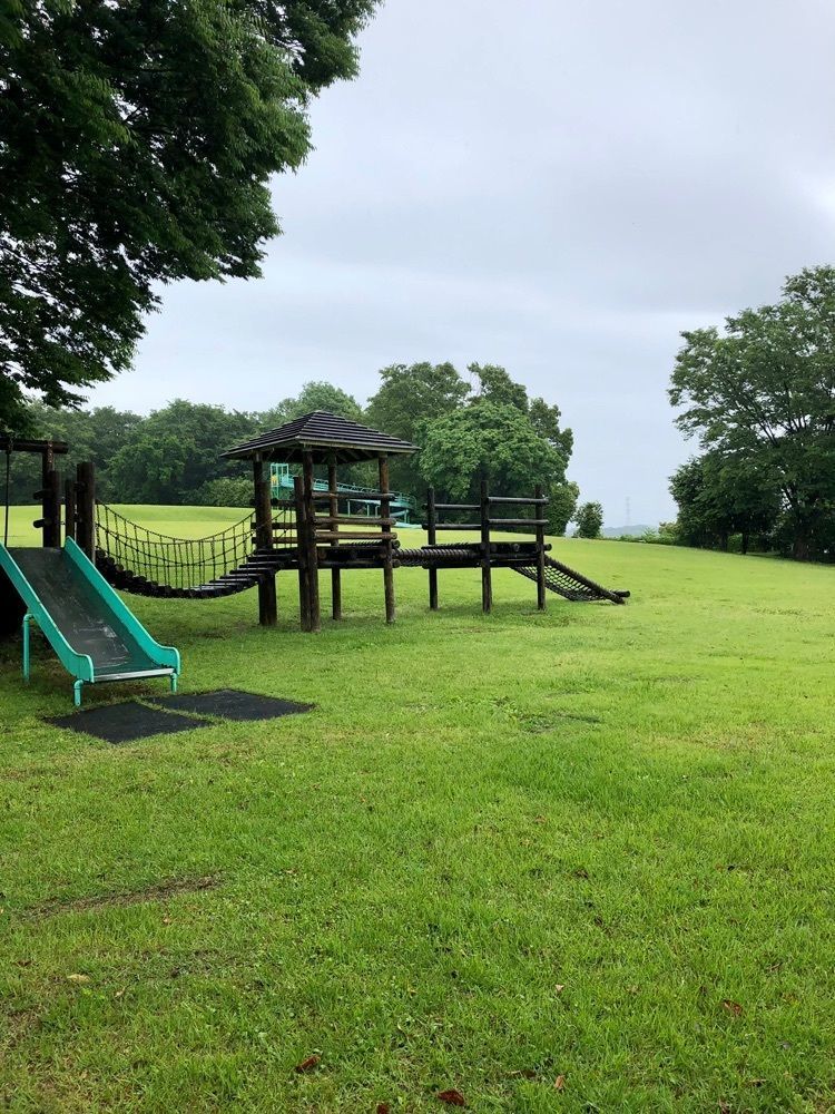 からっ風②さんが投稿した山上城跡公園のアジサイに関する口コミの画像