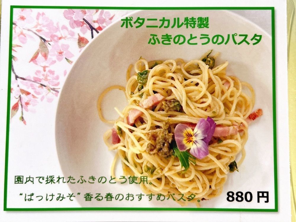 猫なぎ。さんが投稿したフェリシア（Felicia）に関する口コミの画像