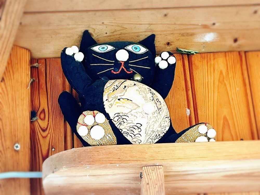 猫なぎ。さんが投稿したフェリシア（Felicia）に関する口コミの画像